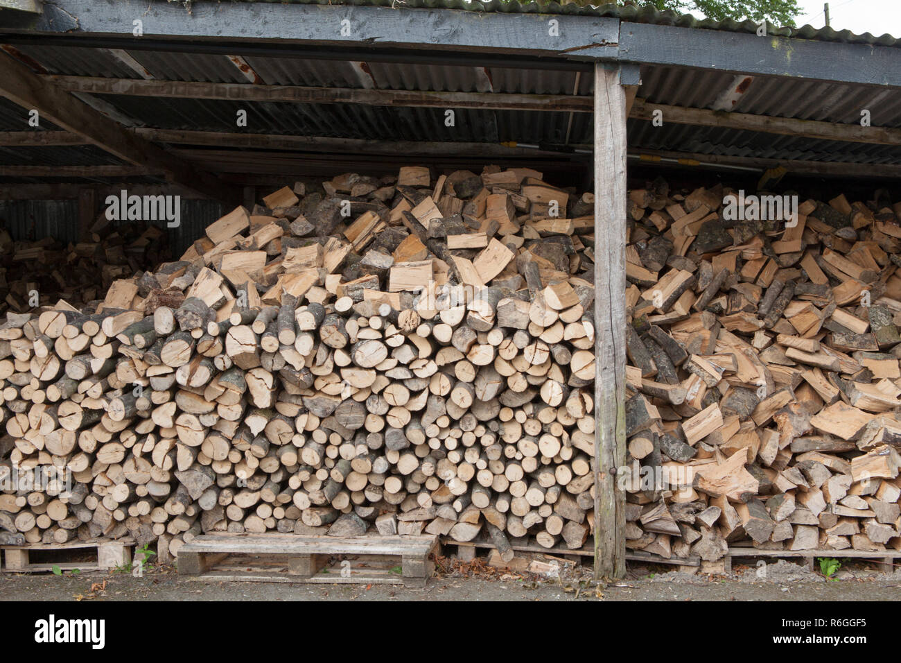 Grumes de bois sont stockés dans un hangar pour l'utilisation dans les mois d'hiver. UK Banque D'Images