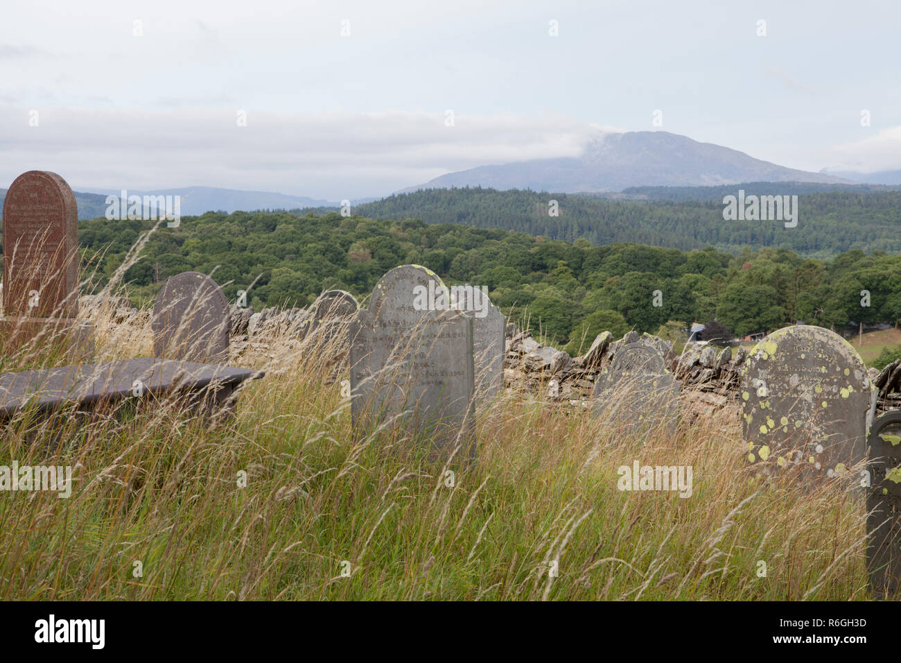 Pierres tombales couvertes de lichen sur une colline venteuse dans un cimetière désaffecté à Capel Garmon, au Pays de Galles Banque D'Images