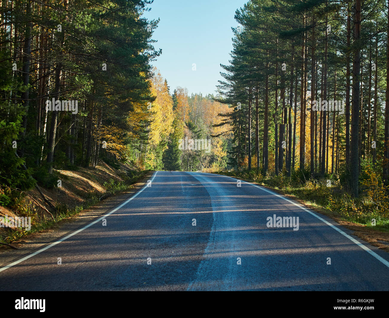 Couleurs d'automne et une belle automne route en Finlande. Banque D'Images