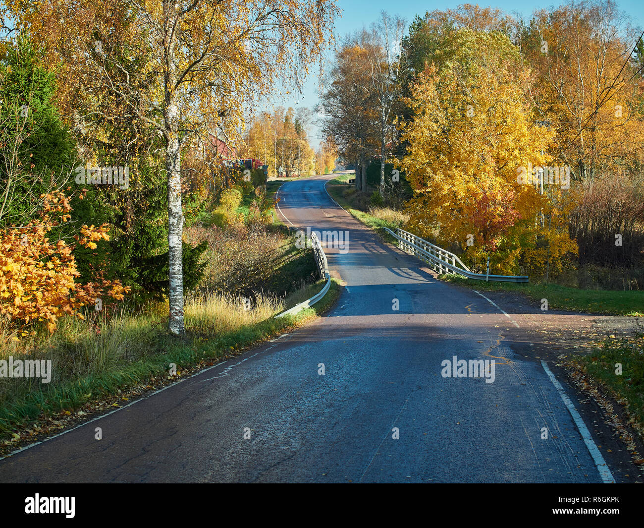 Les couleurs de l'automne lumineux et belle route de campagne d'automne en Finlande. Banque D'Images