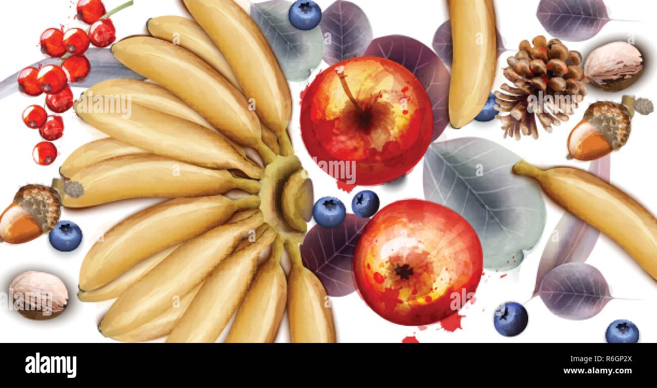 Bananes, pommes et bleuets fruits Vector l'aquarelle. De délicieux fruits exotiques arrière-plan modèle. Décoration d'hiver Illustration de Vecteur