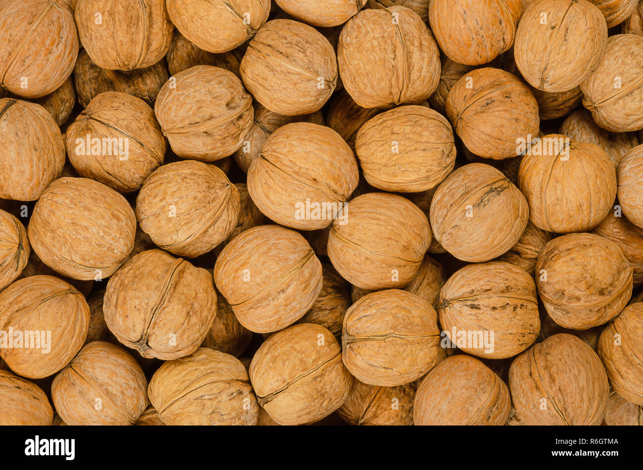 Arrière-plan de noix close up. Les graines non décortiquées du Noyer commun Juglans regia. Pile de fruits entiers avec des coquillages, utilisés comme collation. Banque D'Images