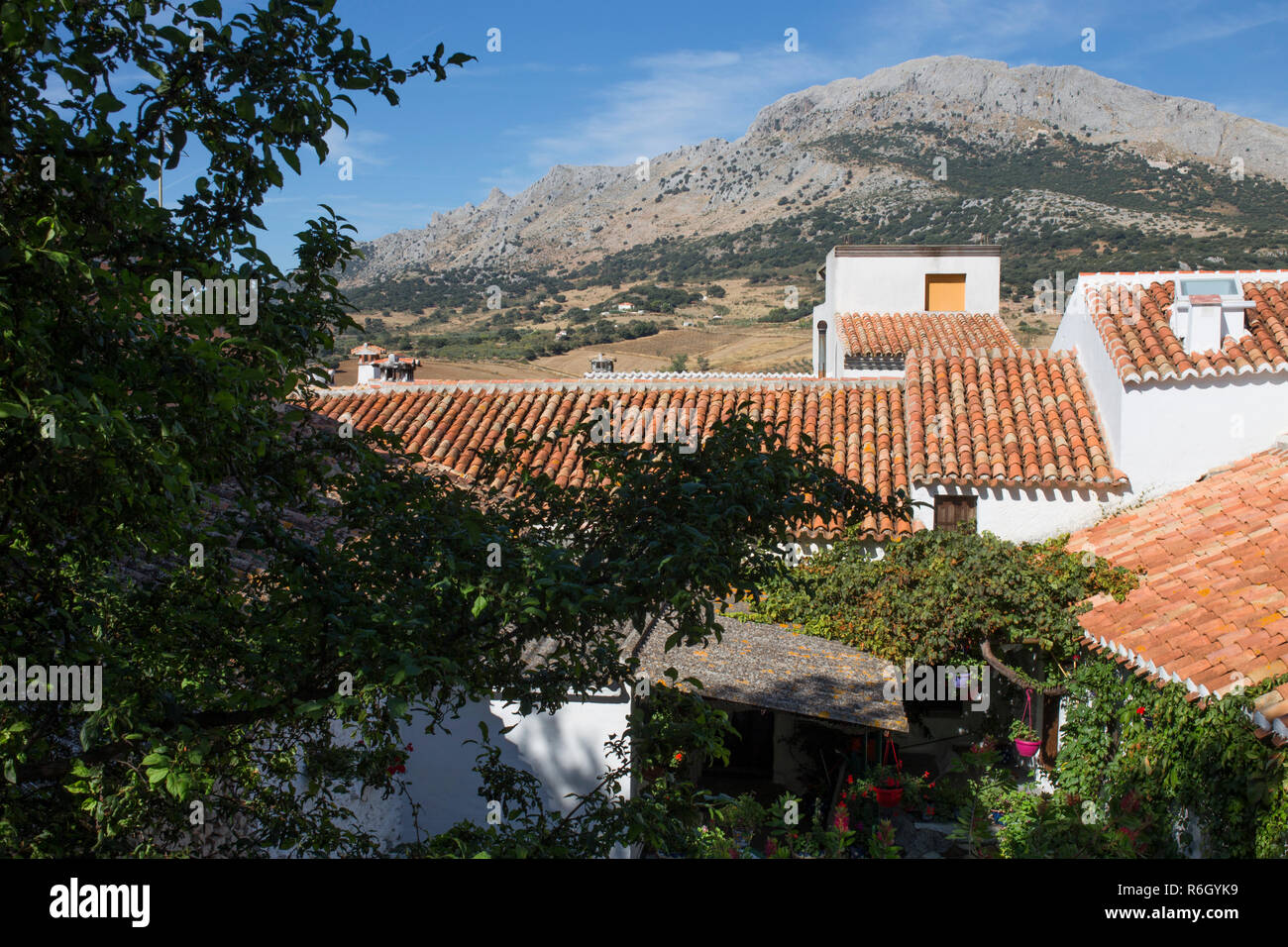 Alfarnatejo, village blanc sur la colline des montagnes de Malaga, Andalousie, espagne. Townhouses Banque D'Images