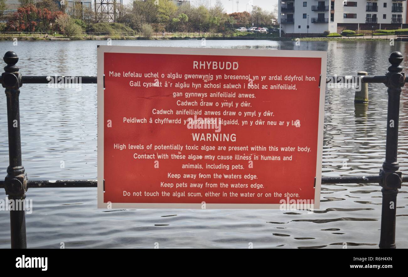 En signe d'avertissement en anglais et gallois d'algues toxiques dans l'eau, Cardiff, Pays de Galles, Royaume-Uni Banque D'Images