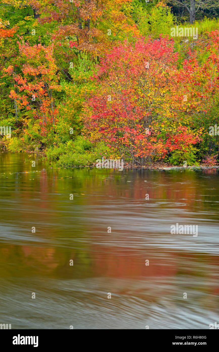 Réflexions d'automne dans la rivière Moon, Réserve indienne Gibson/Wahta Mohawk Territory, Ontario, Canada Banque D'Images