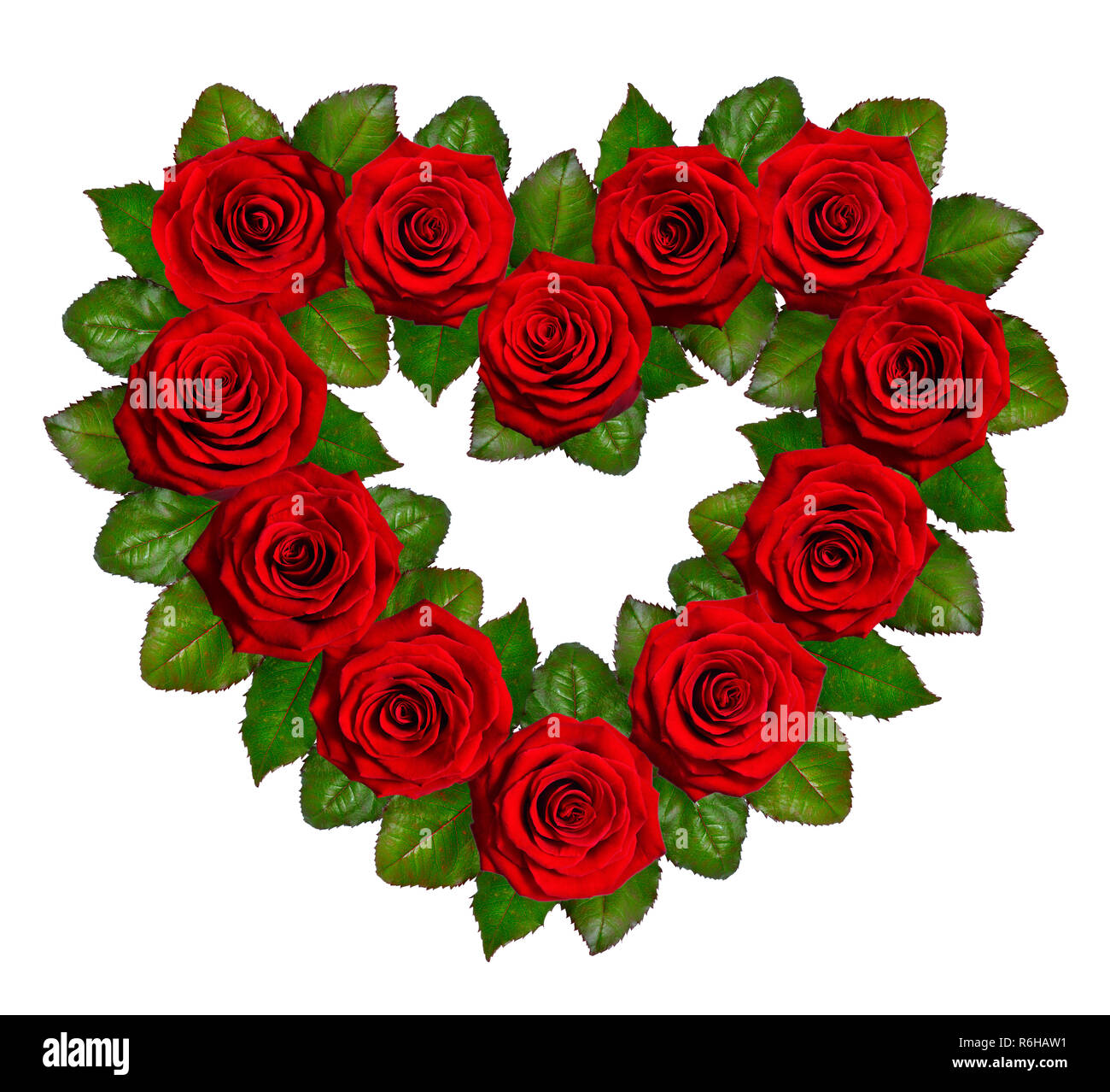 Coeur de roses rouges. Isolé sur fond blanc. Banque D'Images