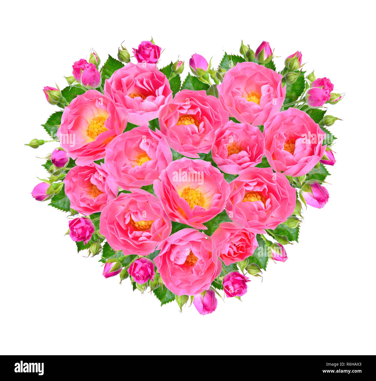 Coeur de roses roses. Isolé sur fond blanc. Banque D'Images