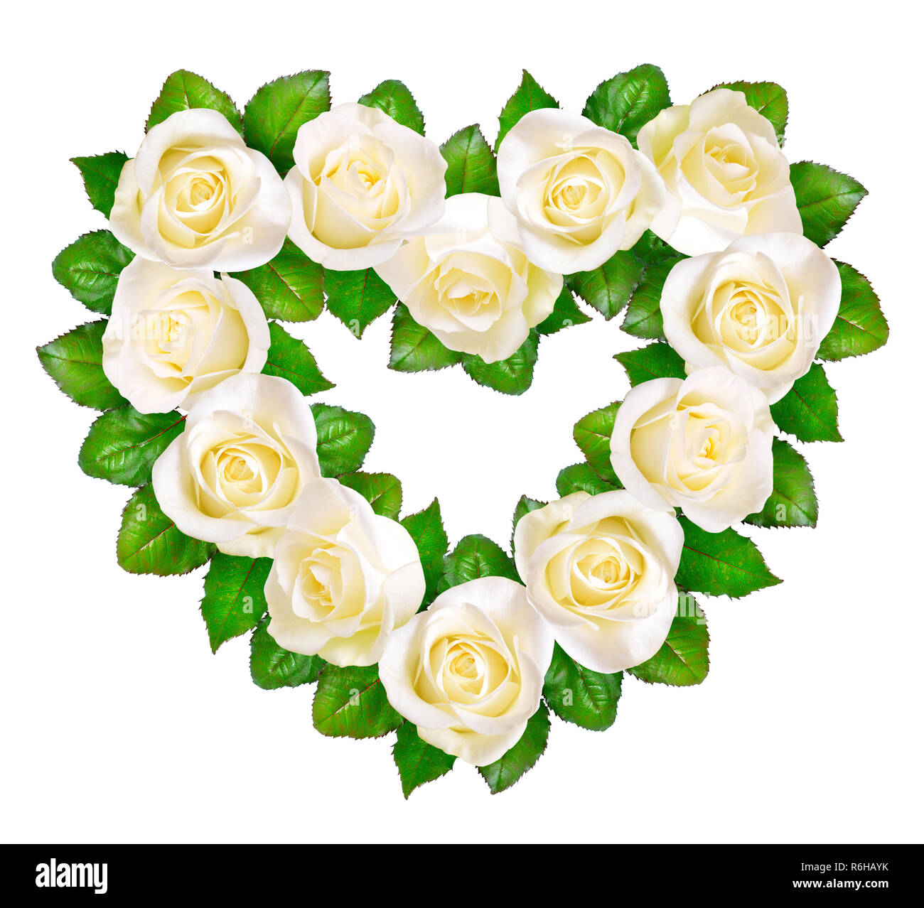 Coeur de roses blanches. Isolé sur fond blanc. Banque D'Images