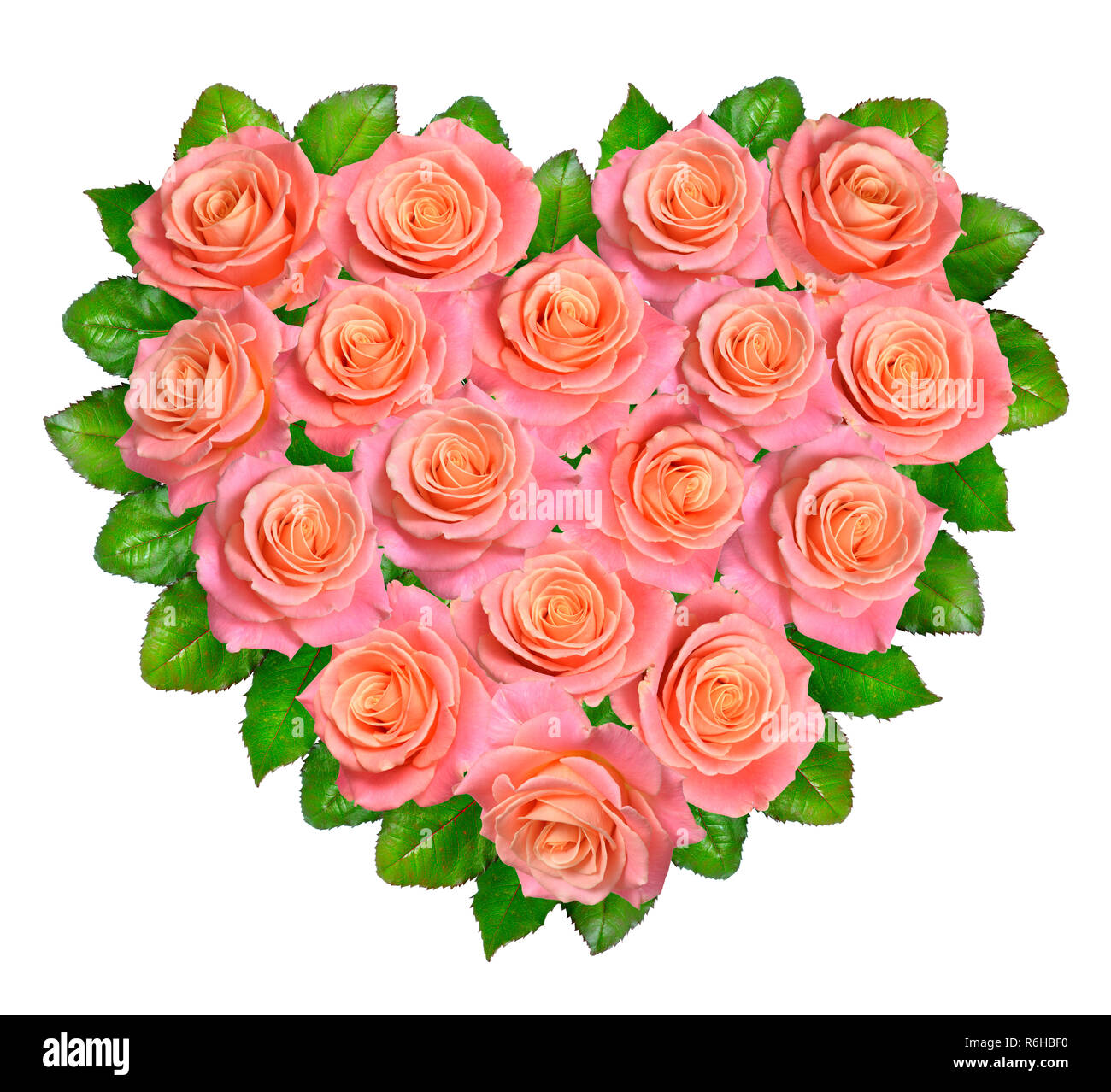 Coeur de roses roses. Isolé sur fond blanc. Banque D'Images