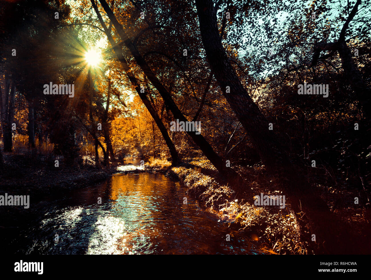 Très beau paysage d'automne avec la lumière du soleil filtrant à travers les arbres et se reflétant dans l'eau Banque D'Images