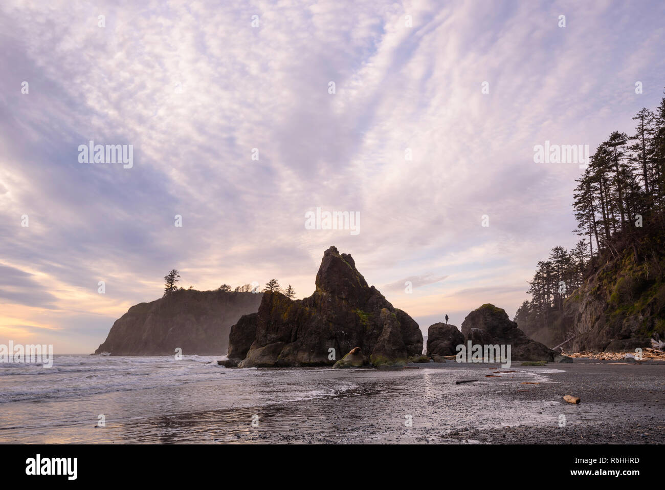 Les piles de la mer à Ruby Beach, Olympic National Park, Washington. Banque D'Images
