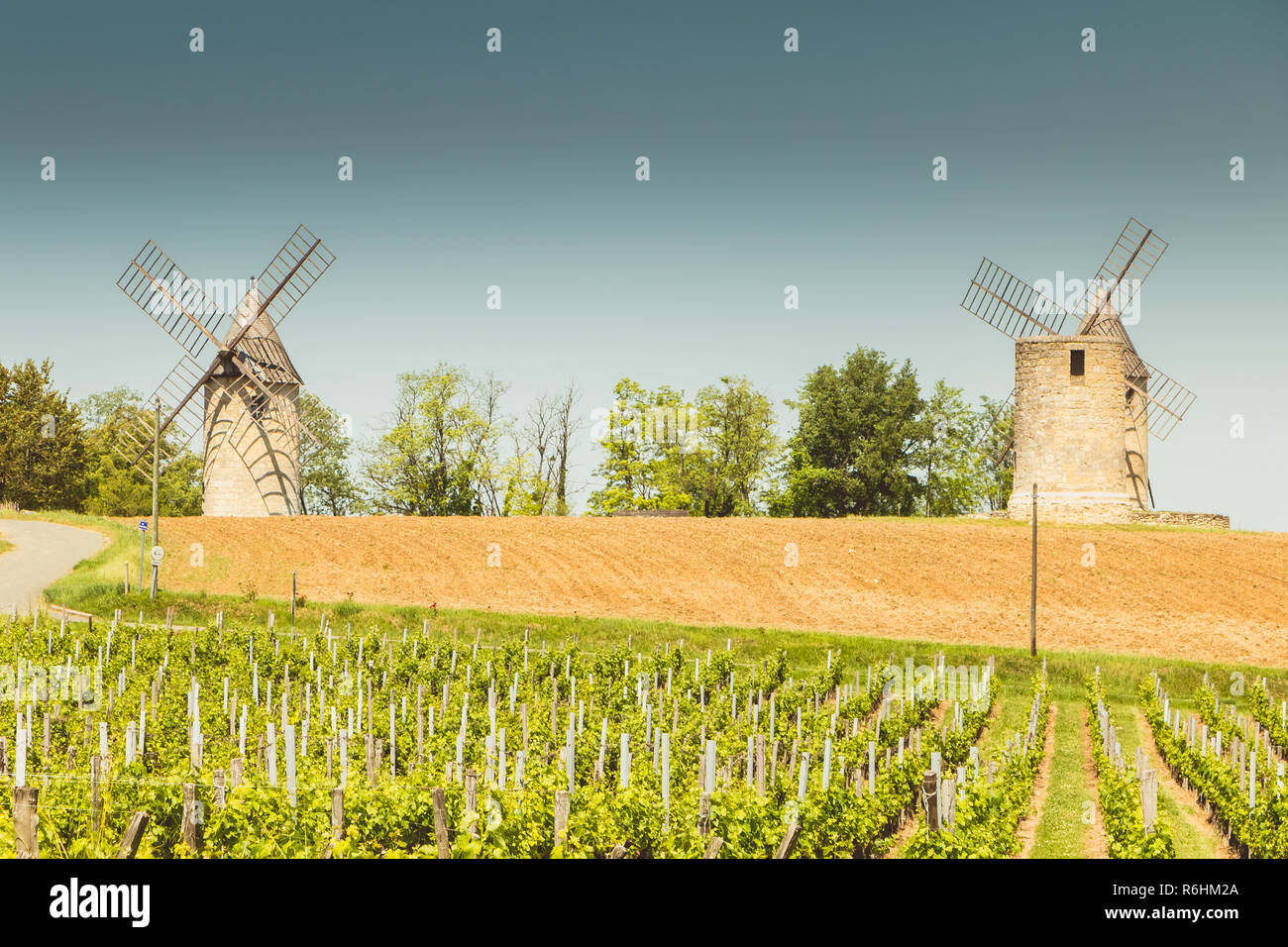 Ancien moulin à vent derrière vignes près de Saint Emilion en France Banque D'Images