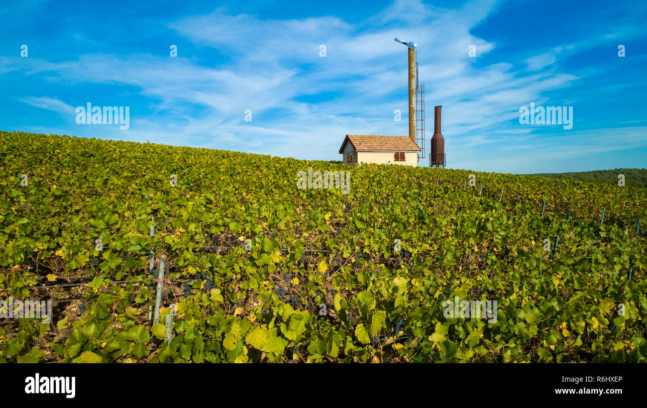 Vignoble de Bourgogne Banque D'Images Vignoble de Bourgogne Banque D'Images