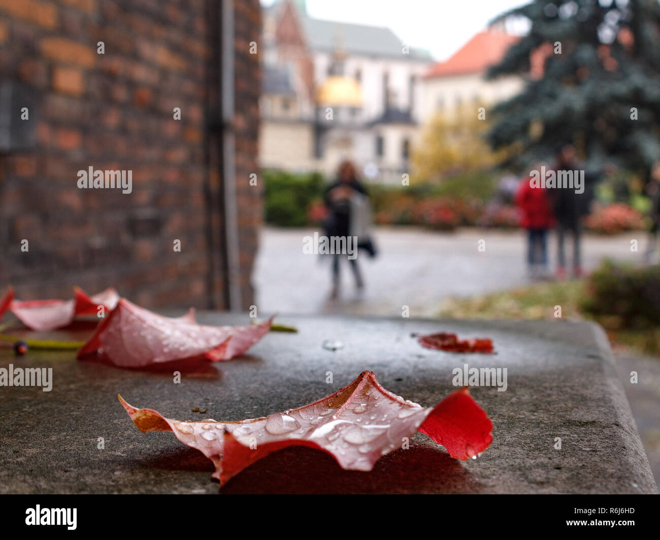 Wawel de Cracovie dans un jour de pluie. Foto de fond. La Pologne, l'Europe. Banque D'Images