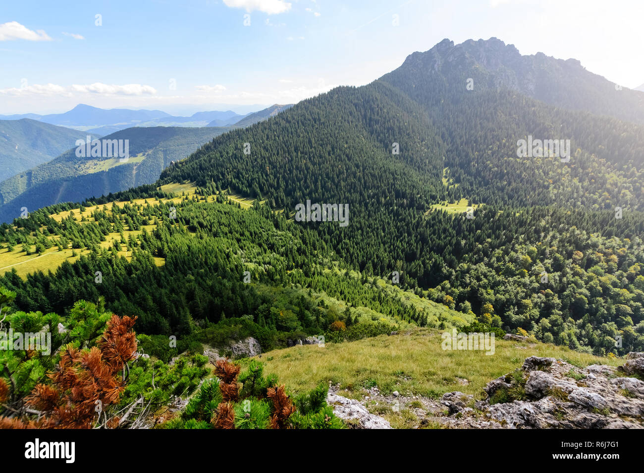 Vue à partir de la couleur peu Rozsutec Hill dans le parc national de Mala Fatra, en Slovaquie. Banque D'Images