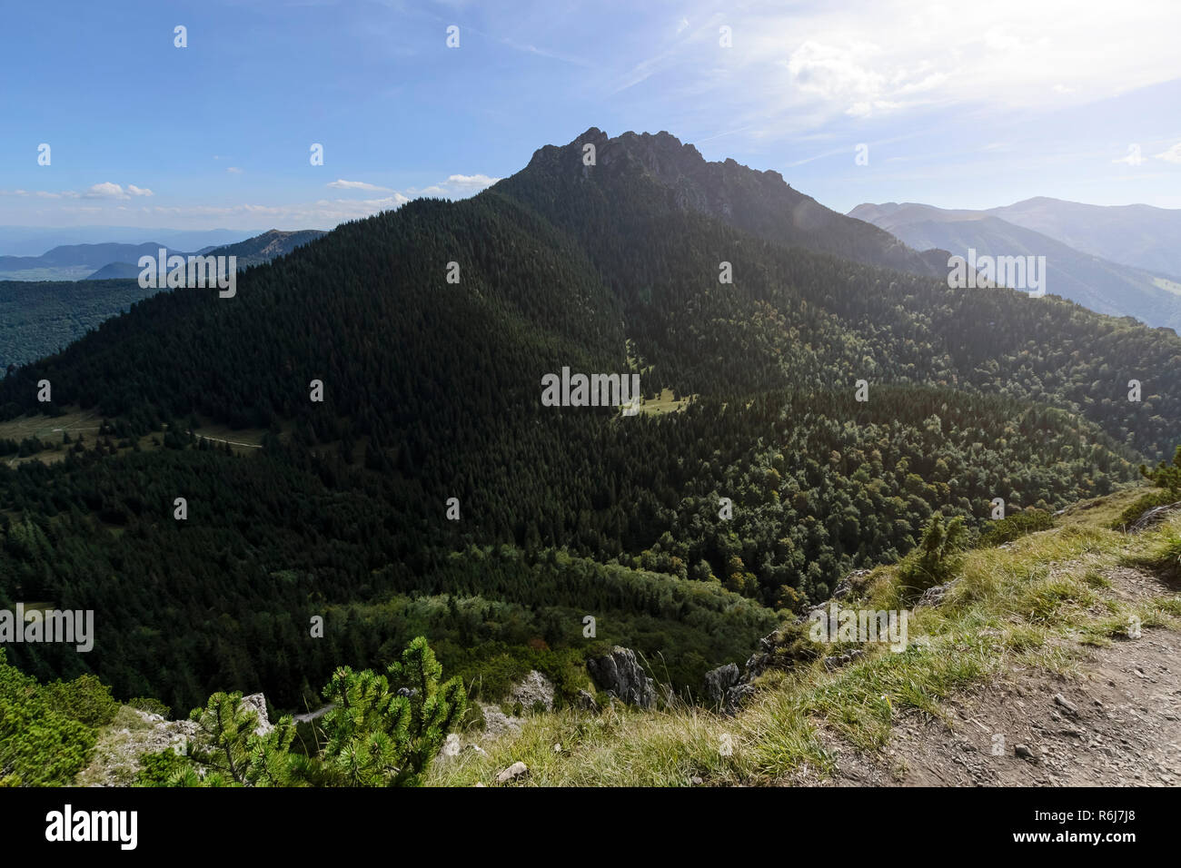 Grand (Grand) Rozsutec hill, vue depuis le petit Rozsutec hill en journée ensoleillée, la Slovaquie. Banque D'Images
