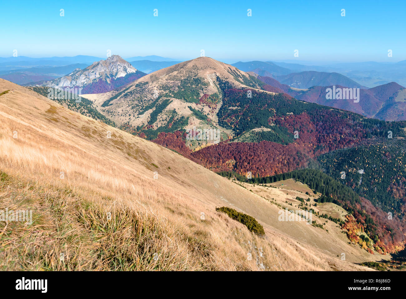 Pente en herbe de la montagne dans la vallée Vratna. Foto d'automne. Banque D'Images