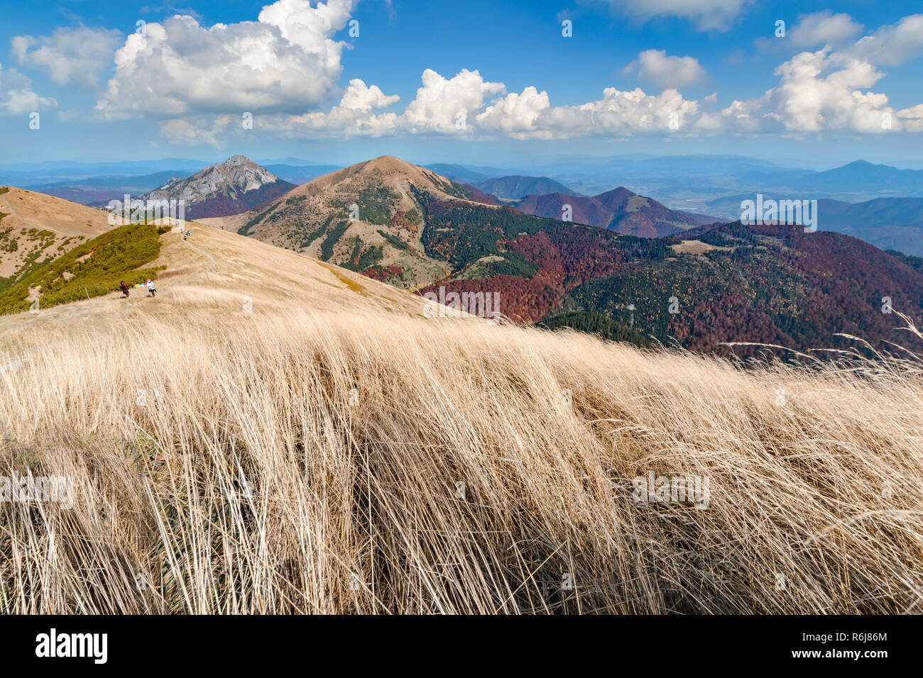 De l'herbe sèche dans la vallée Vratna au parc national Mala Fatra. Foto d'automne. Banque D'Images
