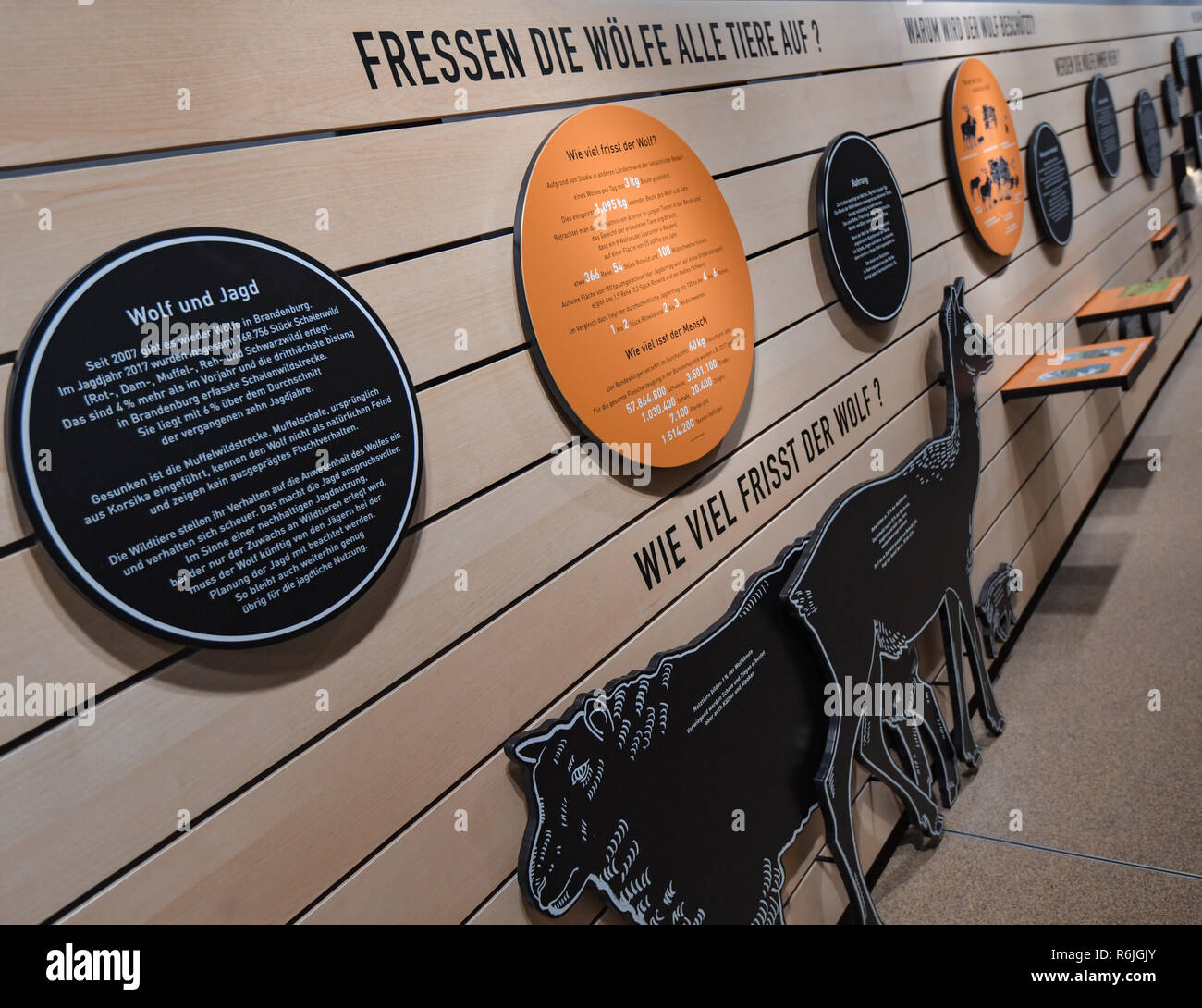 04 décembre 2018, le Brandebourg, Groß Schönebeck : l'information et de panneaux d'accrocher dans le loup et la protection des troupeaux Centre d'information. Le loup a été de retour en Allemagne depuis 2007. Depuis, le prédateur a strictement protégées reproduit magnifiquement, afin que les problèmes s'accumuler et les préjugés se développent. La nouvelle porte de loup et la protection des troupeaux d'veut éclaircir, de conseiller, de plus, les conflits de représenter. (Dpa 'Wo der Wolf heult - Informationszentrum in der Schorfheide') Photo : Patrick Pleul/dpa-Zentralbild/ZB Banque D'Images
