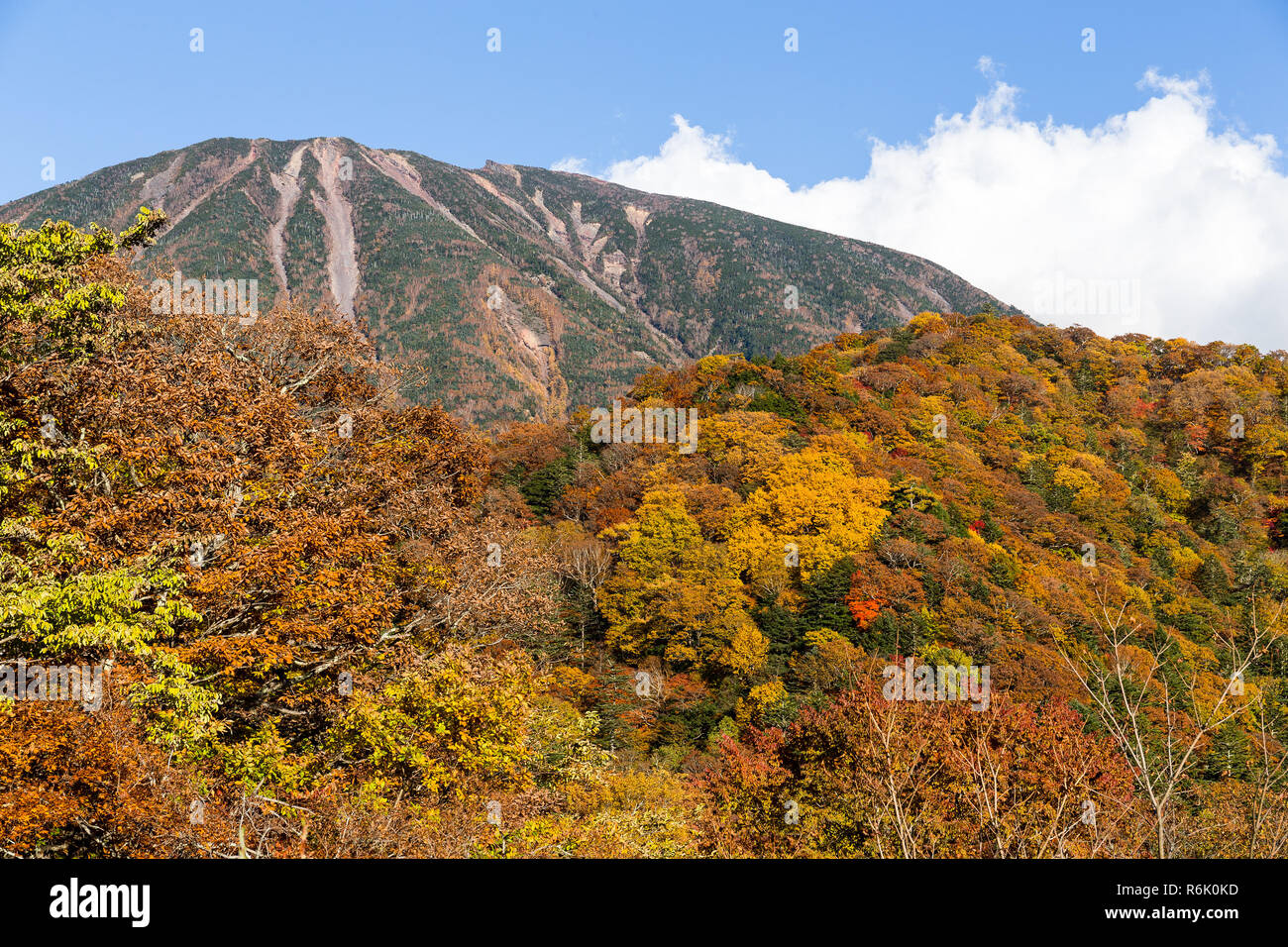 Mont Nantai et automne doré Banque D'Images