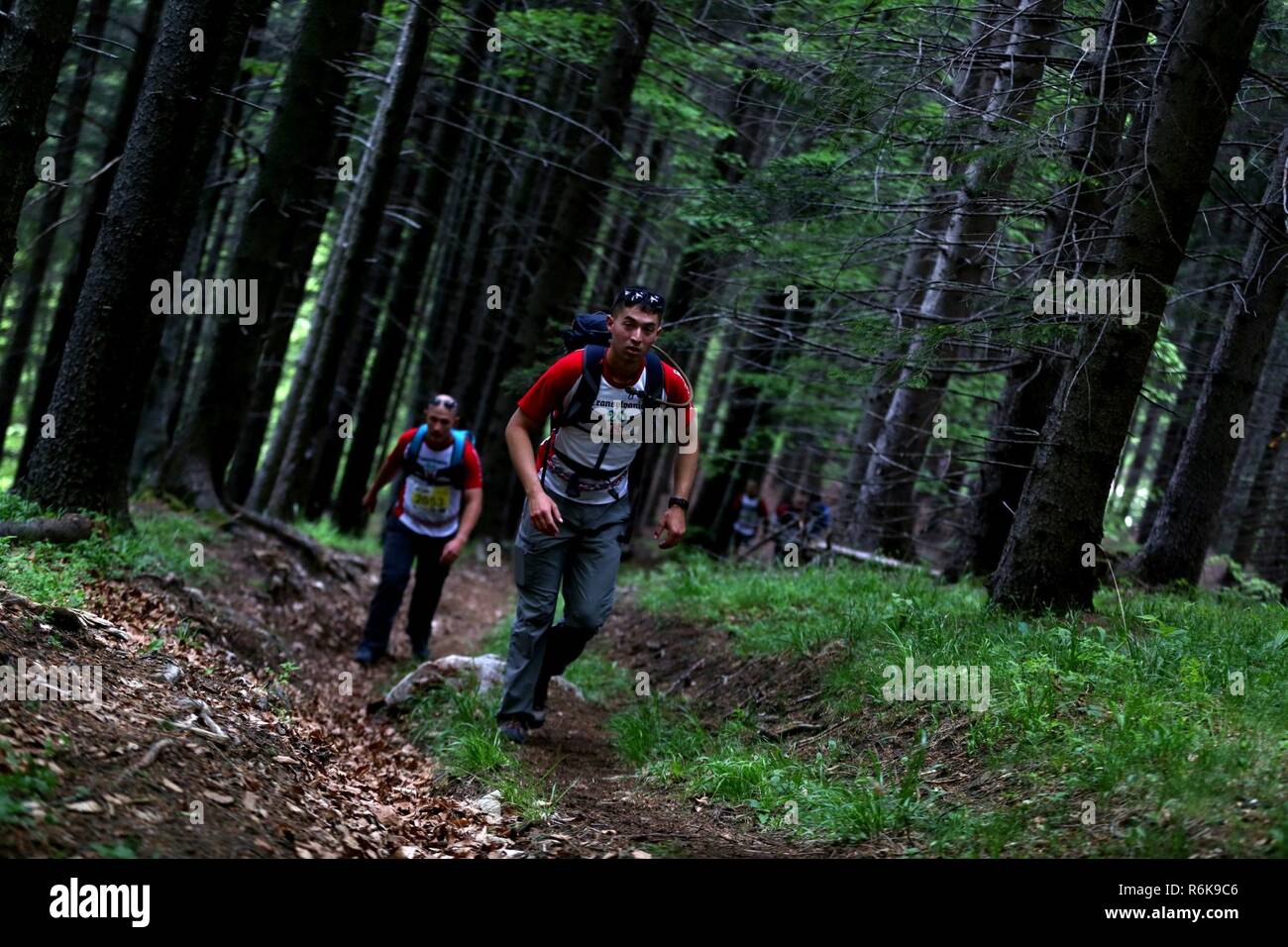 Les Marines américains avec la Force de rotation de la mer Noire 17,1 randonnée pédestre à travers les bois pendant la course de 30 km de Transylvanie à Bran, Roumanie, le 20 mai 2017. Plus de 50 marines se sont affrontés à travers des cours du 20km, 30km, 50km ou des courses dans les montagnes de son, de pousser leurs limites physiques et mentales pour atteindre la ligne d'arrivée. Banque D'Images