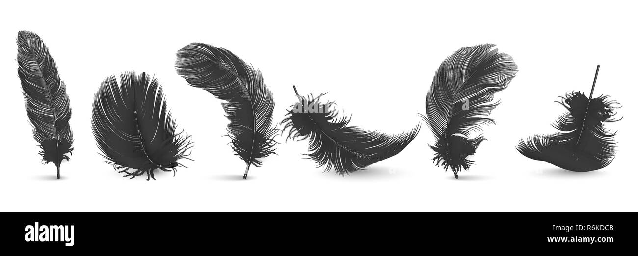 3d Vector différents réaliste noir Chute libre jeu de plumes moelleuses fit tournoyer isolé sur fond blanc. Modèle de conception, de Clipart Ange ou oiseau plumes détaillées dans diverses formes Illustration de Vecteur