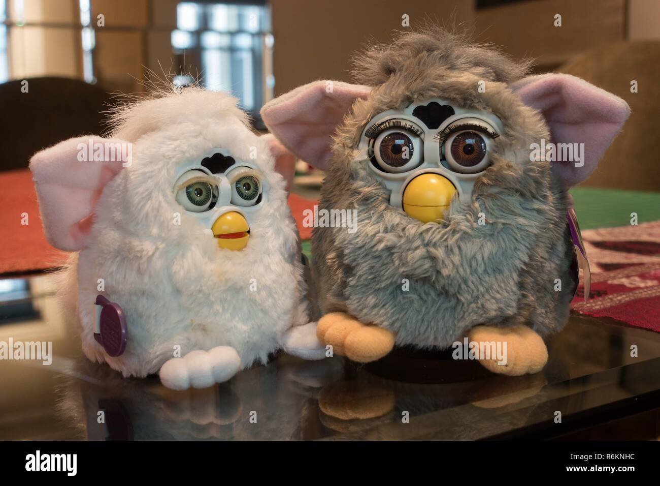 Furby Original et Furby bébé (blanc), doit-être parlant intelligent des jouets de 1998 et 1999 (bébé), fabriqué par Tiger electronics, attendent la conversation. Banque D'Images