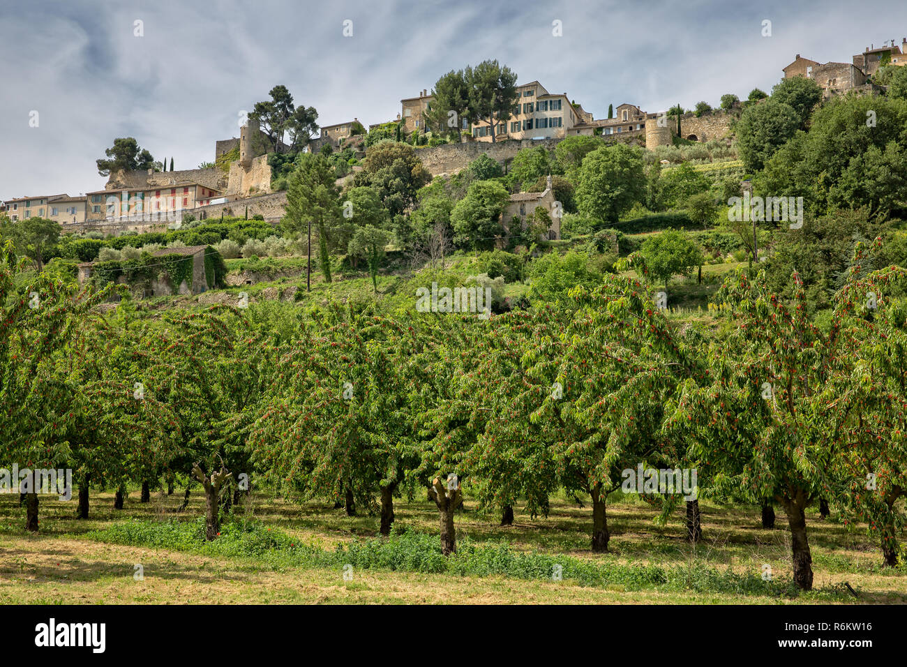 Ménerbes est un des plus beaux villages de France, Provence, Luberon, Vaucluse, France Banque D'Images