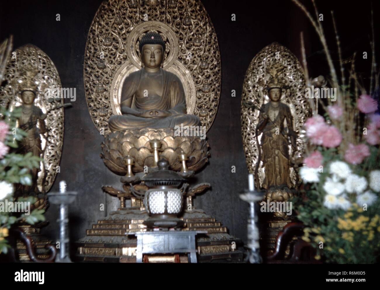 Photographie couleur, à partir d'un angle faible, montrant un bouddha finement sculpté et doré, assis sur une fleur de lotus, avec une mandorle en arrière-plan, et ses mains reposant ensemble dans un état méditatif mudra, flanqué de deux chiffres, chaque opérateur debout dans une mandorle, et avec des fleurs, des bougies, et/ou un encensoir visible dans l'avant-plan, probablement photographié dans un temple bouddhiste Japonais, au cours de la moitié du xxe siècle, 1965. () Banque D'Images