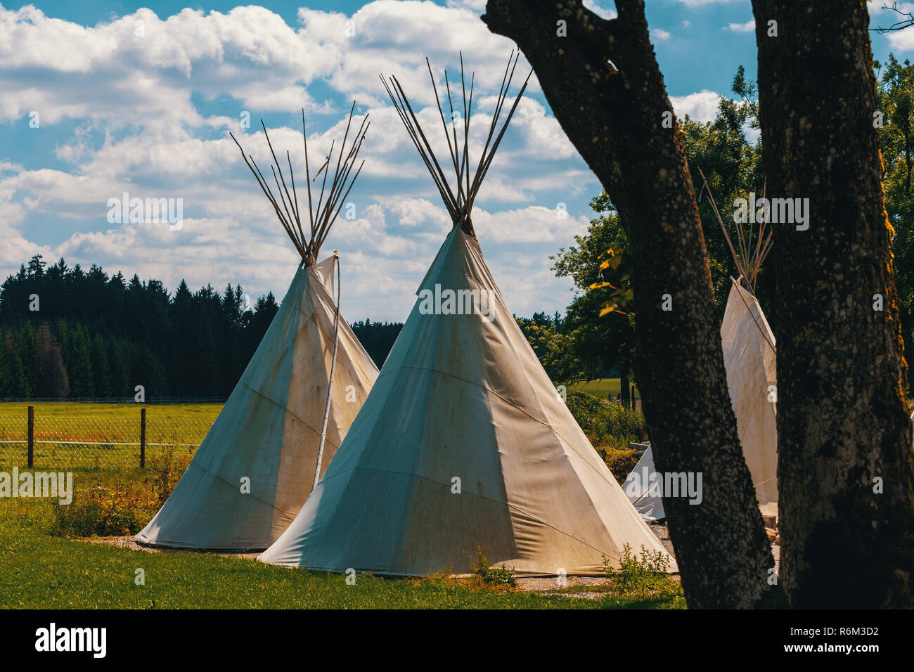 Tipi tente conique fabriqué à partir de peaux d'animaux Banque D'Images