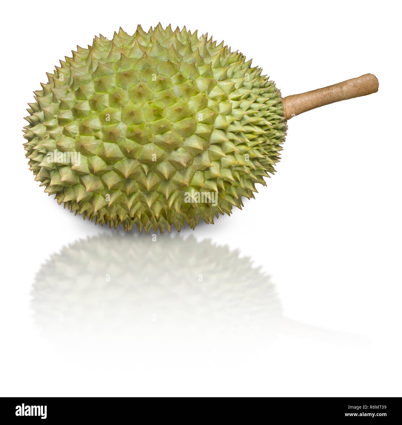 Durian, les pronoms en tant que roi des fruits, isolé sur fond blanc Banque D'Images