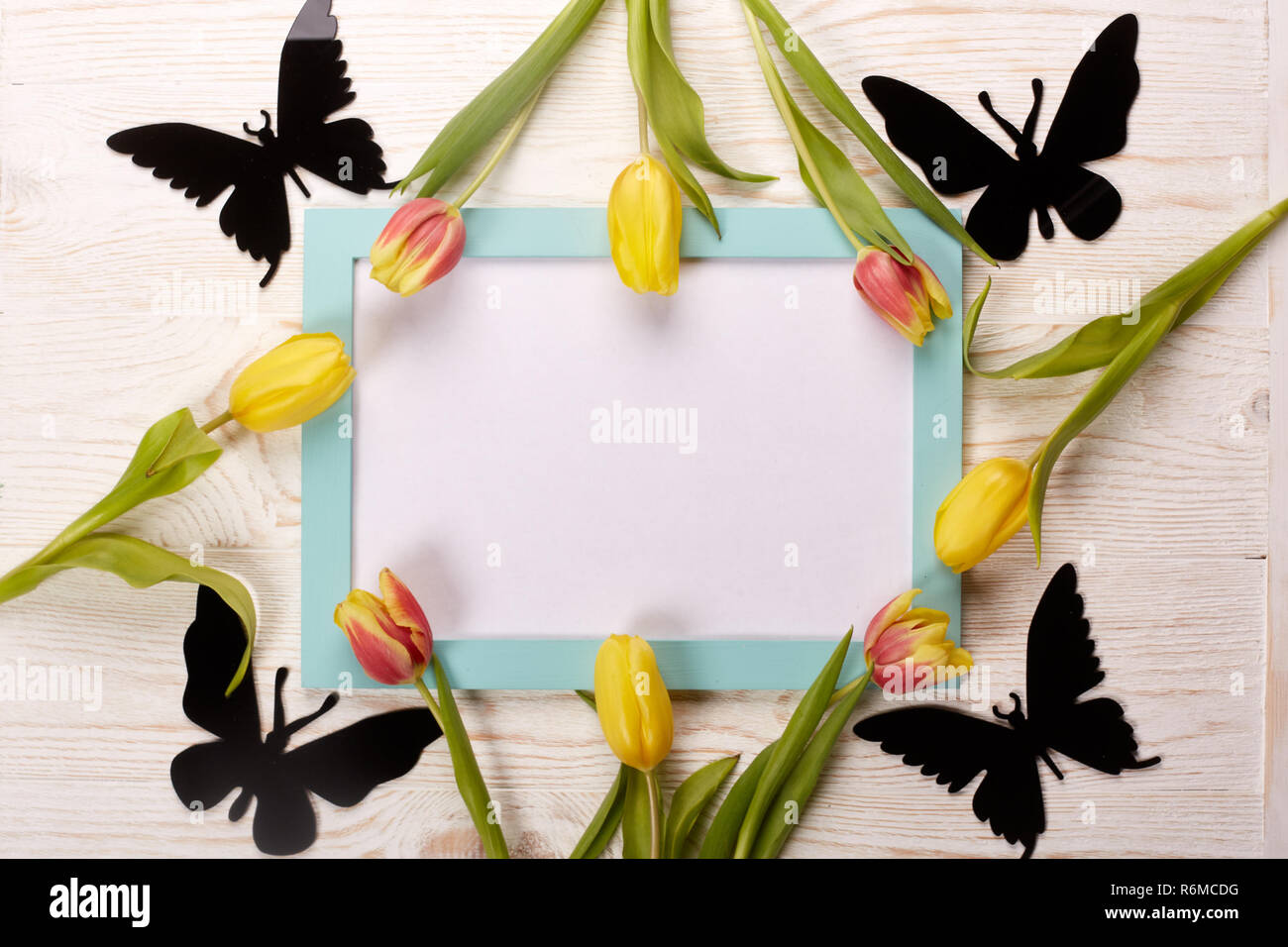 Feuille vierge, de papillons et de tulipes. Banque D'Images