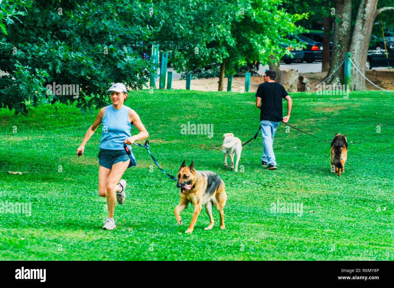 Les propriétaires d'animaux à pied leurs chiens à Candler Park, le 4 juin 2014, à Atlanta, Géorgie. Banque D'Images