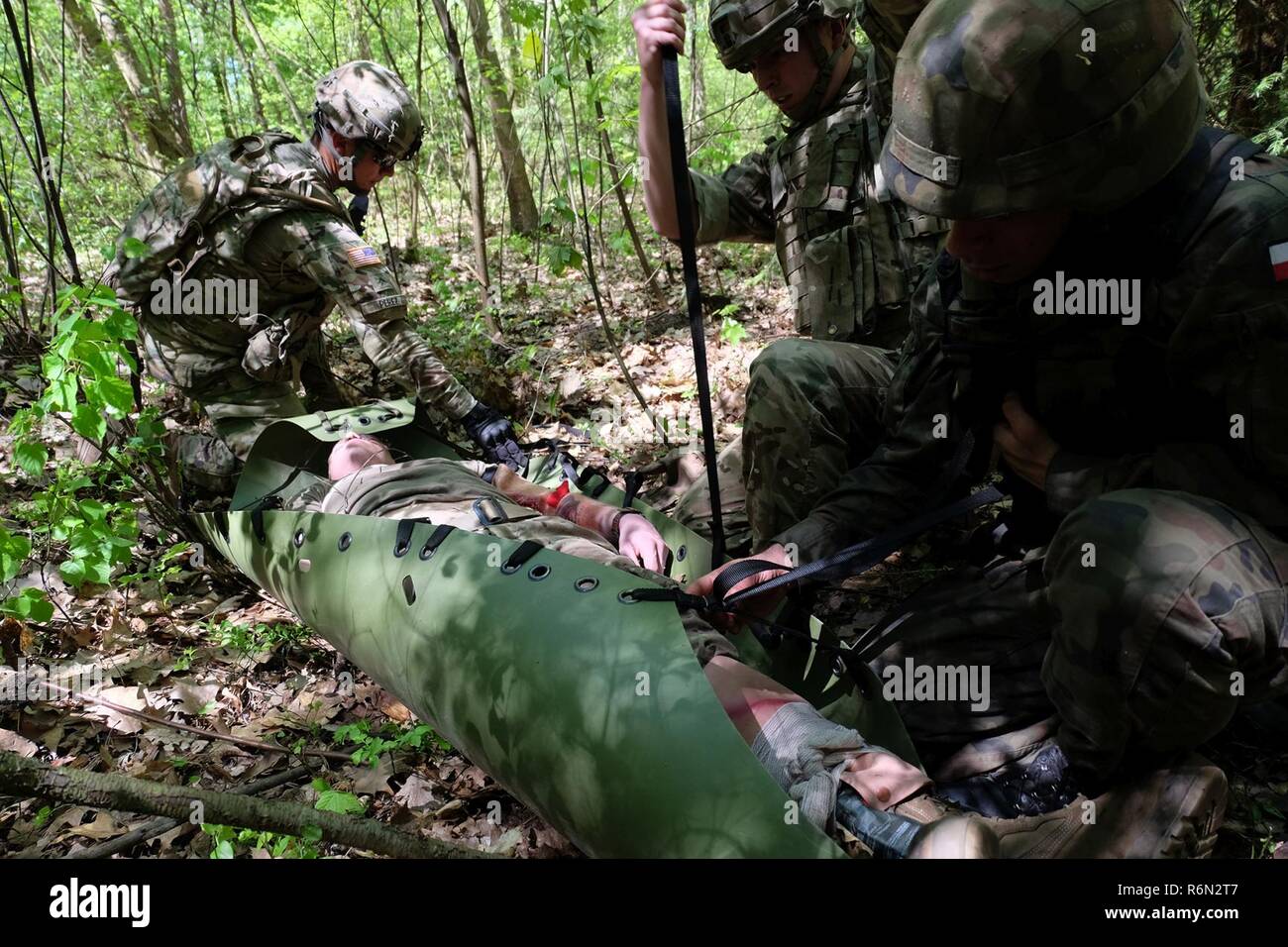 Pologne Groupe de combat des soldats américains et britanniques ainsi qu'un soldat polonais 15e Brigade mécanisée strap une victime à un glissement de la litière pour le déplacer à l'accident pendant le traumatisme du point de collecte pour le groupe aéronaval lane's Life Saver Combat récent au cours Bemowo Piskie Zone d'entraînement. La formation multinationale unique, des États-Unis, du Royaume-Uni et de soldats roumains servir avec la 15e Brigade mécanisée polonaise comme une force de dissuasion dans le nord-est de la Pologne à l'appui de l'OTAN vers l'amélioration de la présence. Banque D'Images