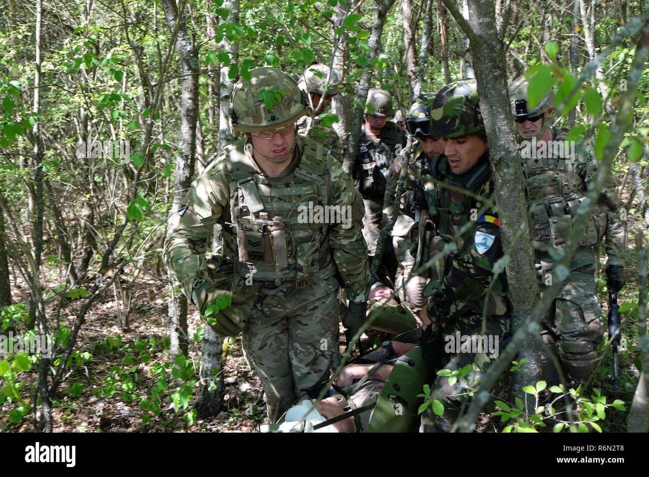 Groupe de combat des soldats polonais et la Pologne 15e Brigade mécanisée de transporter des soldats blessés de la forêt pendant le traumatisme lane pour la bataille du groupe de combat récent épargnant de vie cours à Bemowo Piskie Zone d'entraînement. La formation multinationale unique, des États-Unis, du Royaume-Uni et de soldats roumains servir avec la 15e Brigade mécanisée polonaise comme une force de dissuasion dans le nord-est de la Pologne à l'appui de l'OTAN vers l'amélioration de la présence. Banque D'Images