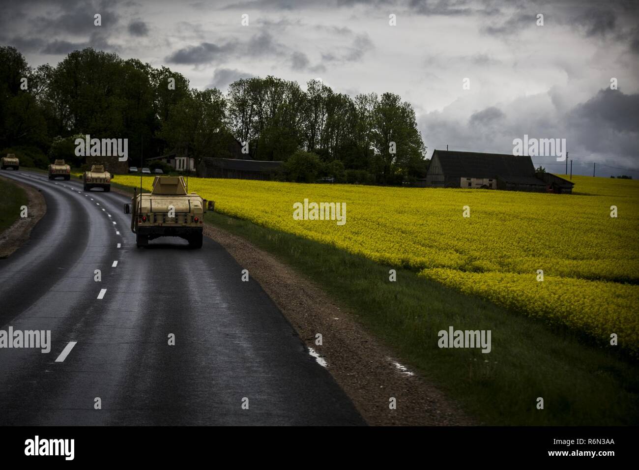 Les Marines américains avec la Force de rotation de la mer Noire 17.1 participer à un convoi tactique de Ventspils, Lettonie, au Camp Adazi, Lettonie, 31 mai 2017. Le convoi était en prévision de l'exercice grève 17 Sabre, un exercice multinational avec ses alliés de l'augmentation de l'interopérabilité par l'entraînement interarmes. Banque D'Images