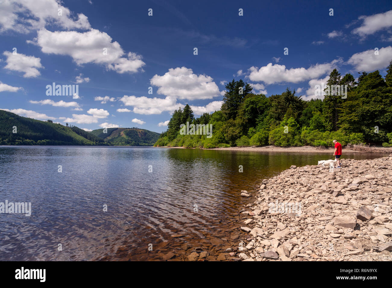 Lake Vyrnwy réservoir en Powys, Pays de Galles, un jour ensoleillé Banque D'Images