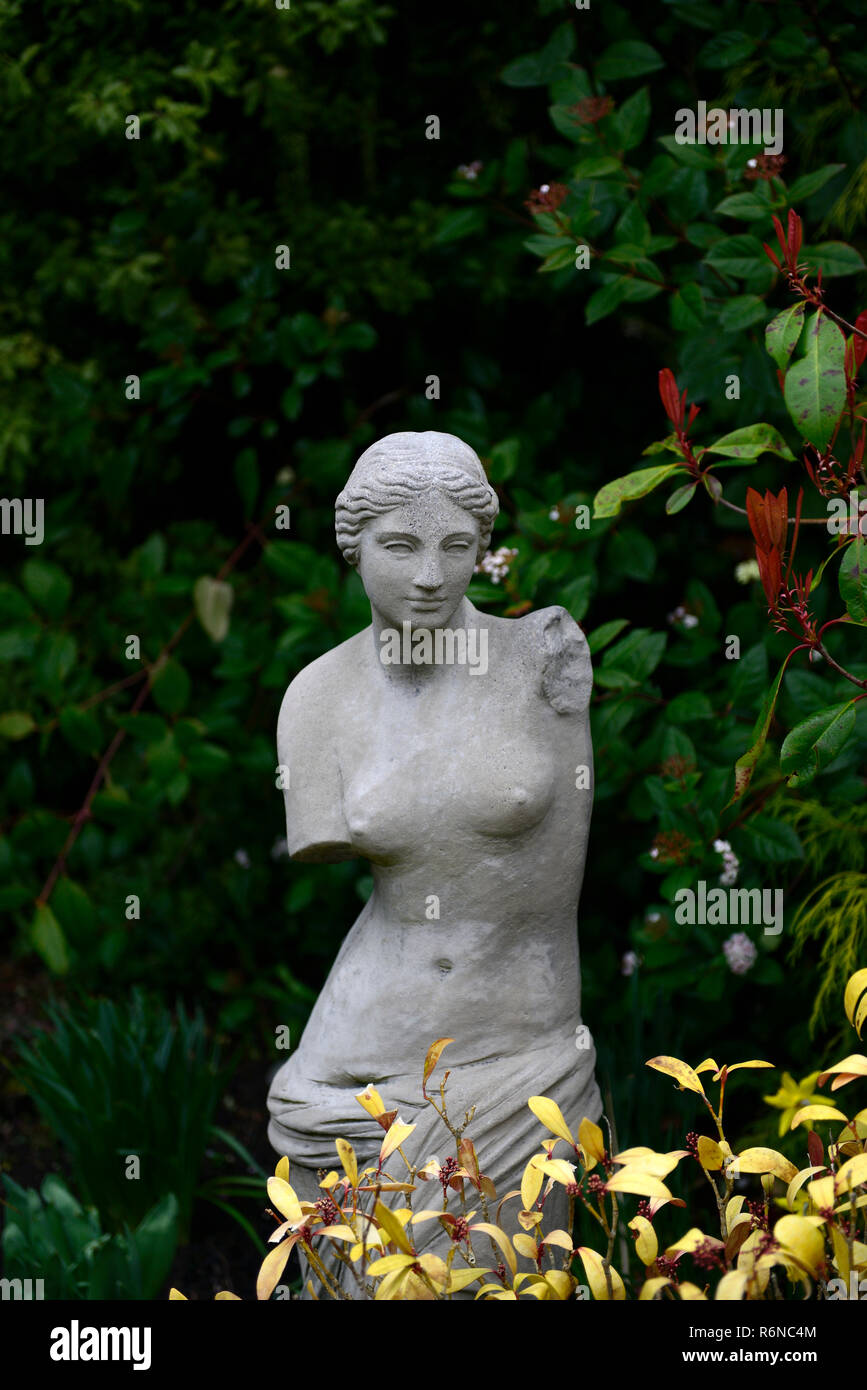 ,Romain,grec,romane,statue,buste de déesse,jardin,ornement ornement,fonction,centre,jardinage,bois,bois,ombragé,ombragée,salon,Floral,RM Banque D'Images