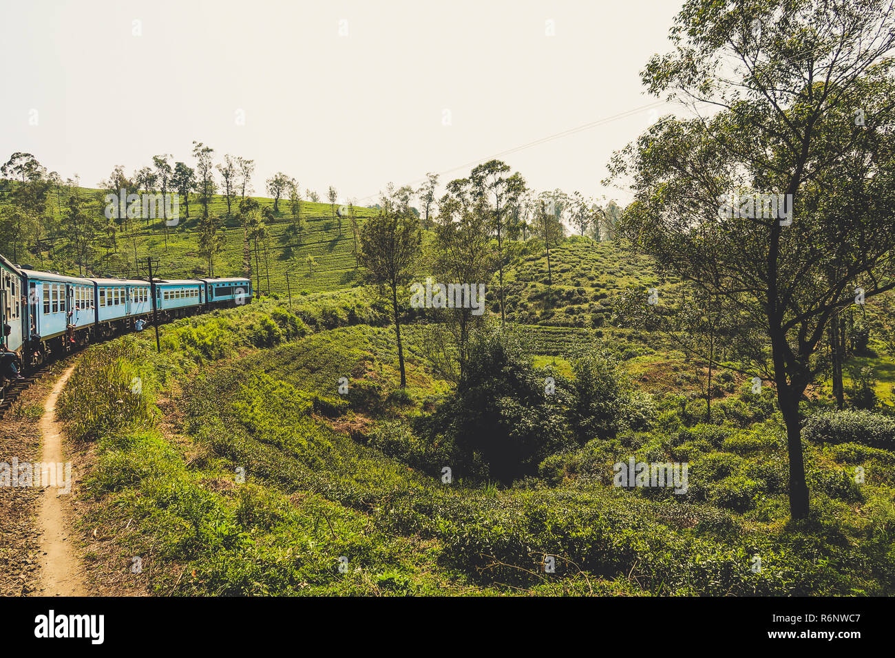 Paysage au Sri Lanka. Chemin de fer entre Ella et Kandy. Banque D'Images