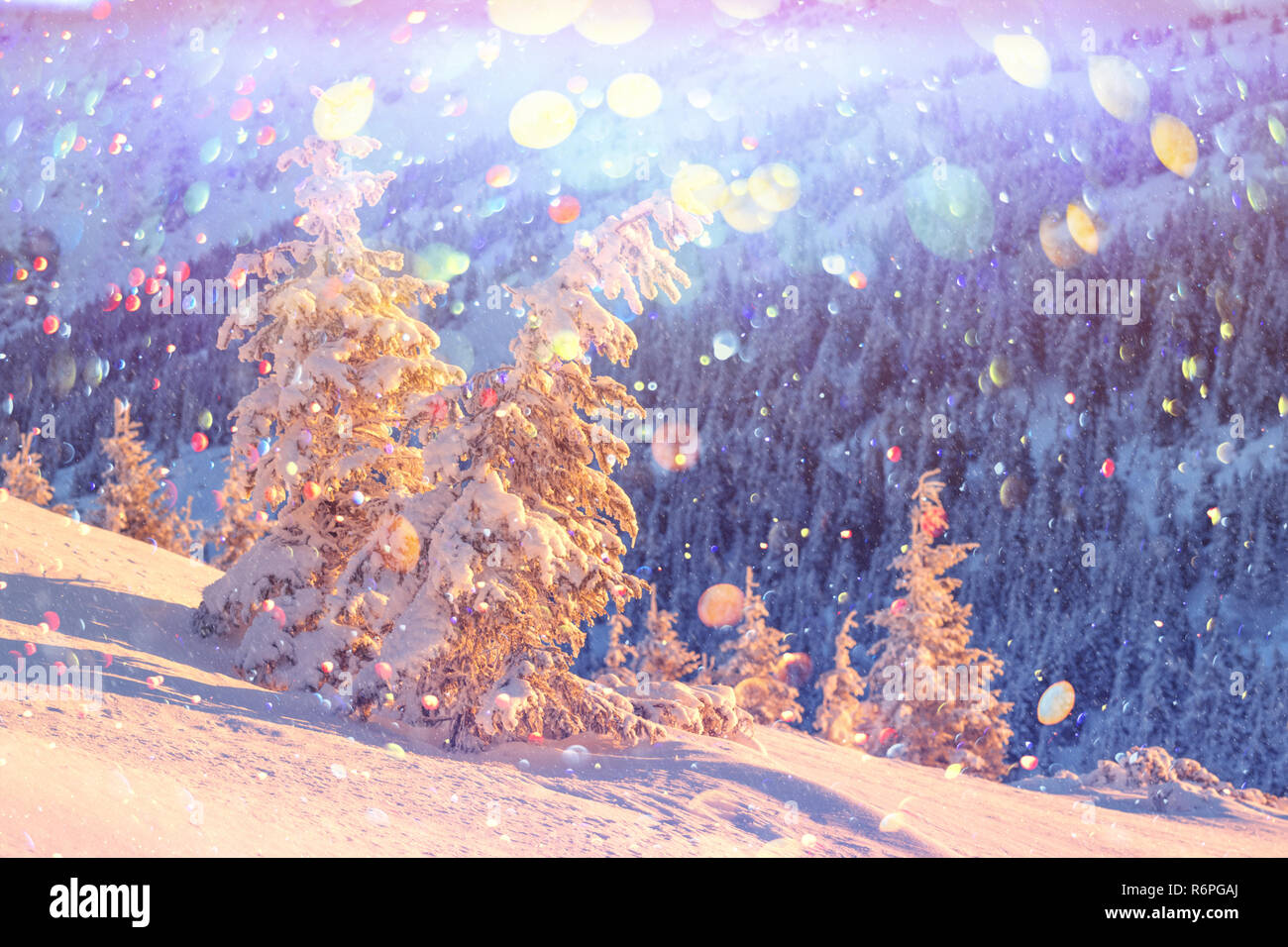 Orange fantastique paysage d'hiver dans les montagnes de neige par la lumière du soleil rougeoyant. Scène hivernale spectaculaire avec des arbres enneigés. Lumière effet bokeh DOF post-traitement Banque D'Images