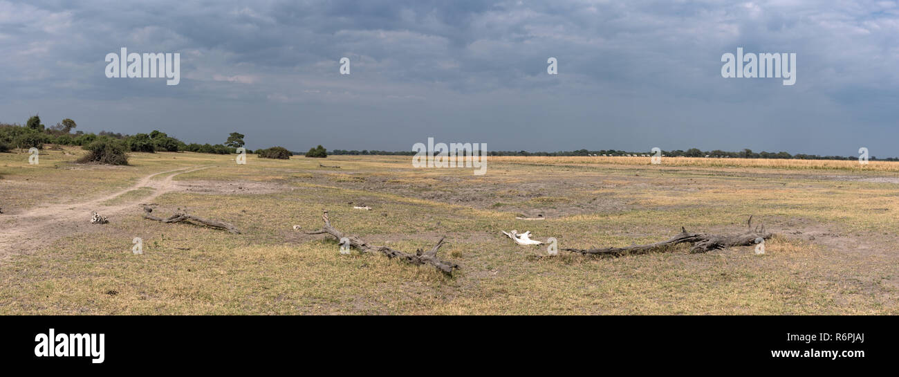 Le paysage sur la rivière Chobe au début de la saison des pluies à l'ouest de Kasane, Botswana Banque D'Images