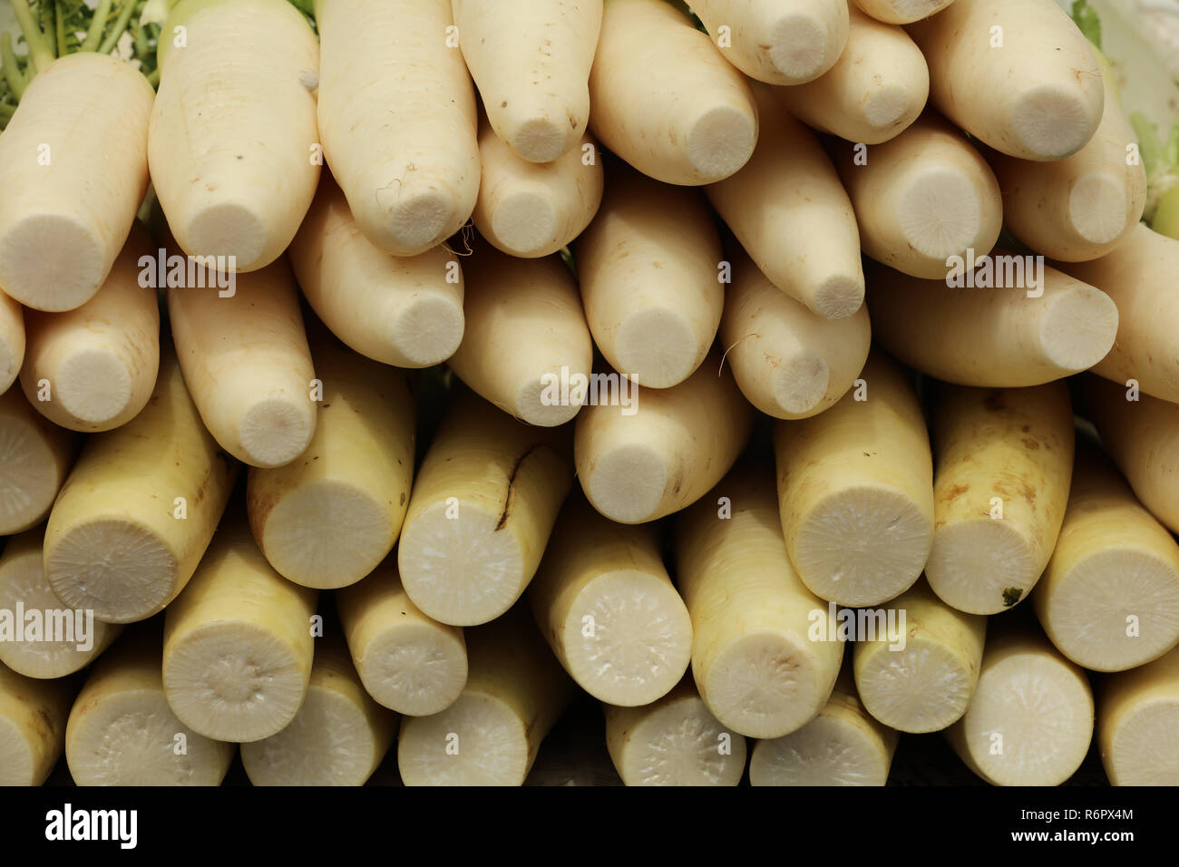 Le radis ou daikon japonais est un long légume de racine blanc cultivé principalement en Asie du Sud-est et utilisé dans la cuisine orientale, sur un marché. Banque D'Images