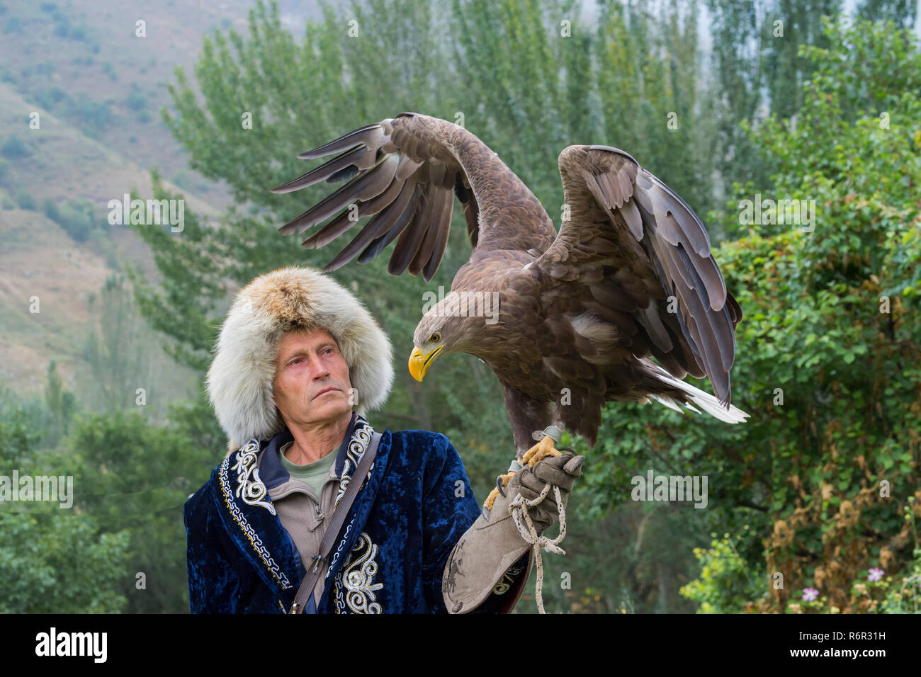 Pavel Pfander, entraîneur de l'Aigle royal (Aquila chrysaetos), sanctuaire falcon raptor Sunkar, Almaty, Kazakhstan, en Asie centrale, l'usage éditorial Banque D'Images