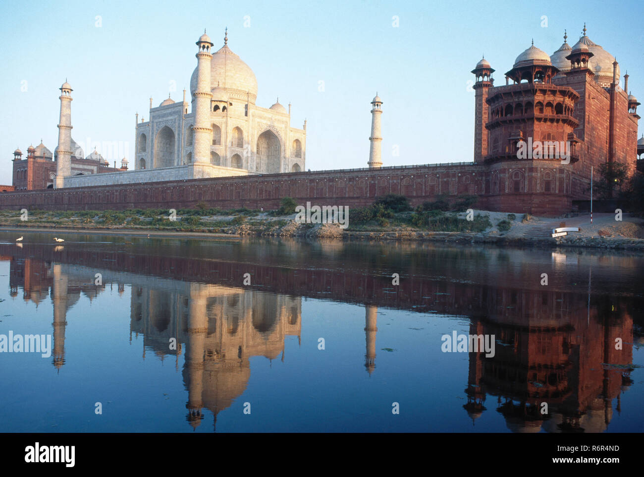 Réflexion Taj Mahal septième merveille du monde, Agra, Uttar Pradesh, Inde Banque D'Images