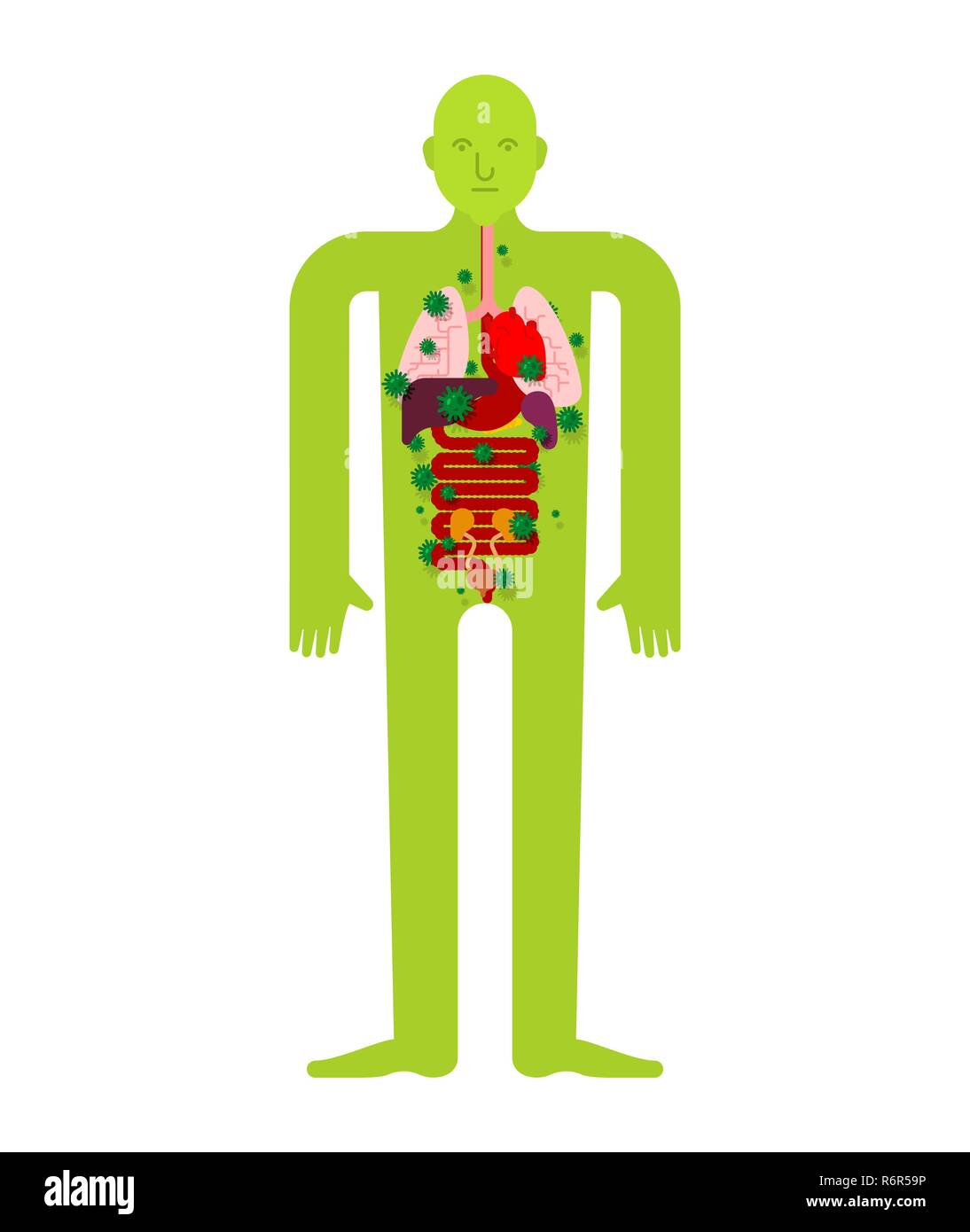 L'anatomie des organes internes malades de la maladie humaine. Le cœur et les poumons. Le foie et l'estomac. L'œsophage et du pancréas. Les reins et la rate. Les virus faisant mal et bacter Illustration de Vecteur