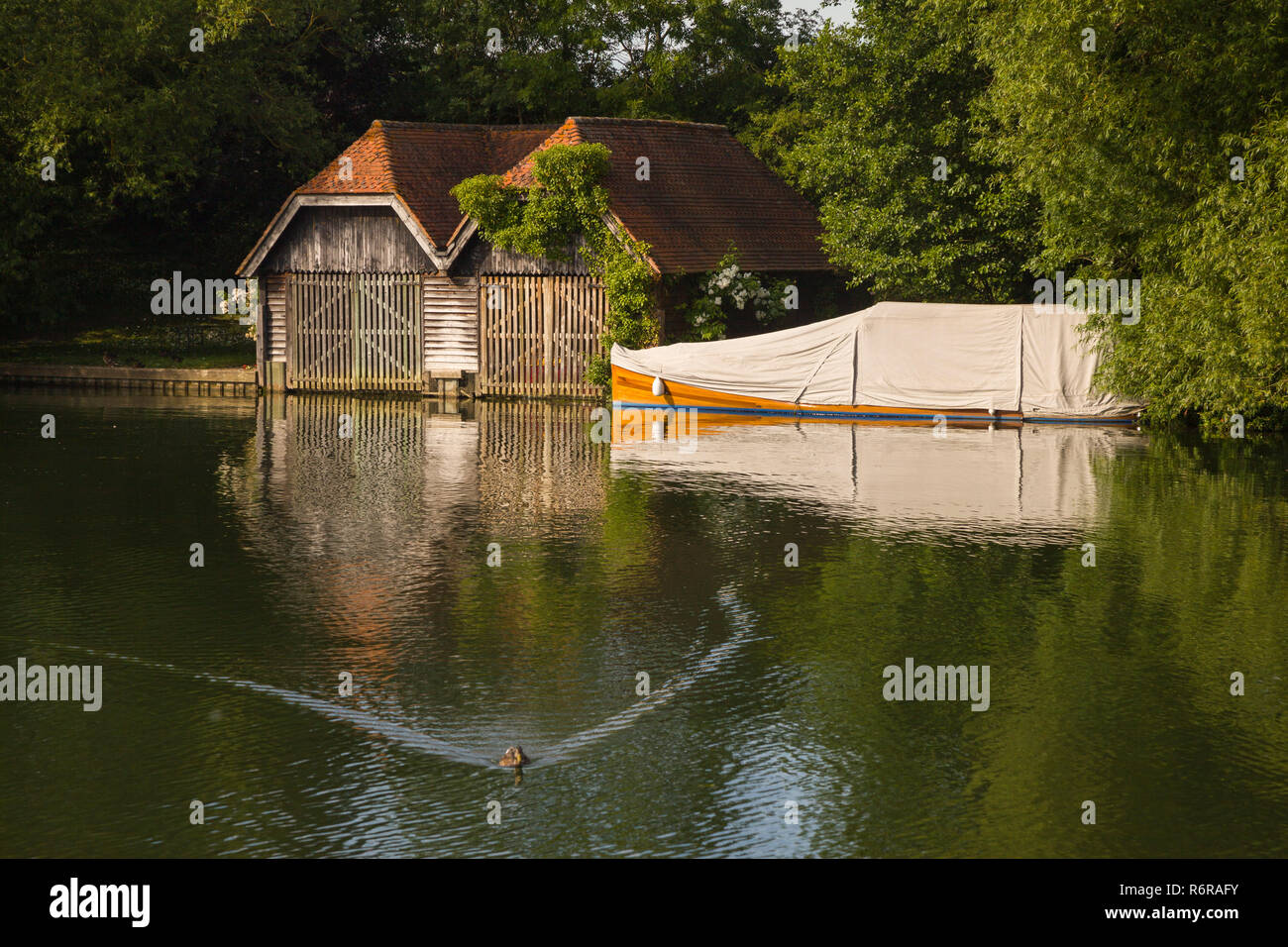 Un vieux hangar à bateaux et acajou classique lancement sous une toile sur la Tamise à Mill End, Buckinghamshire Banque D'Images