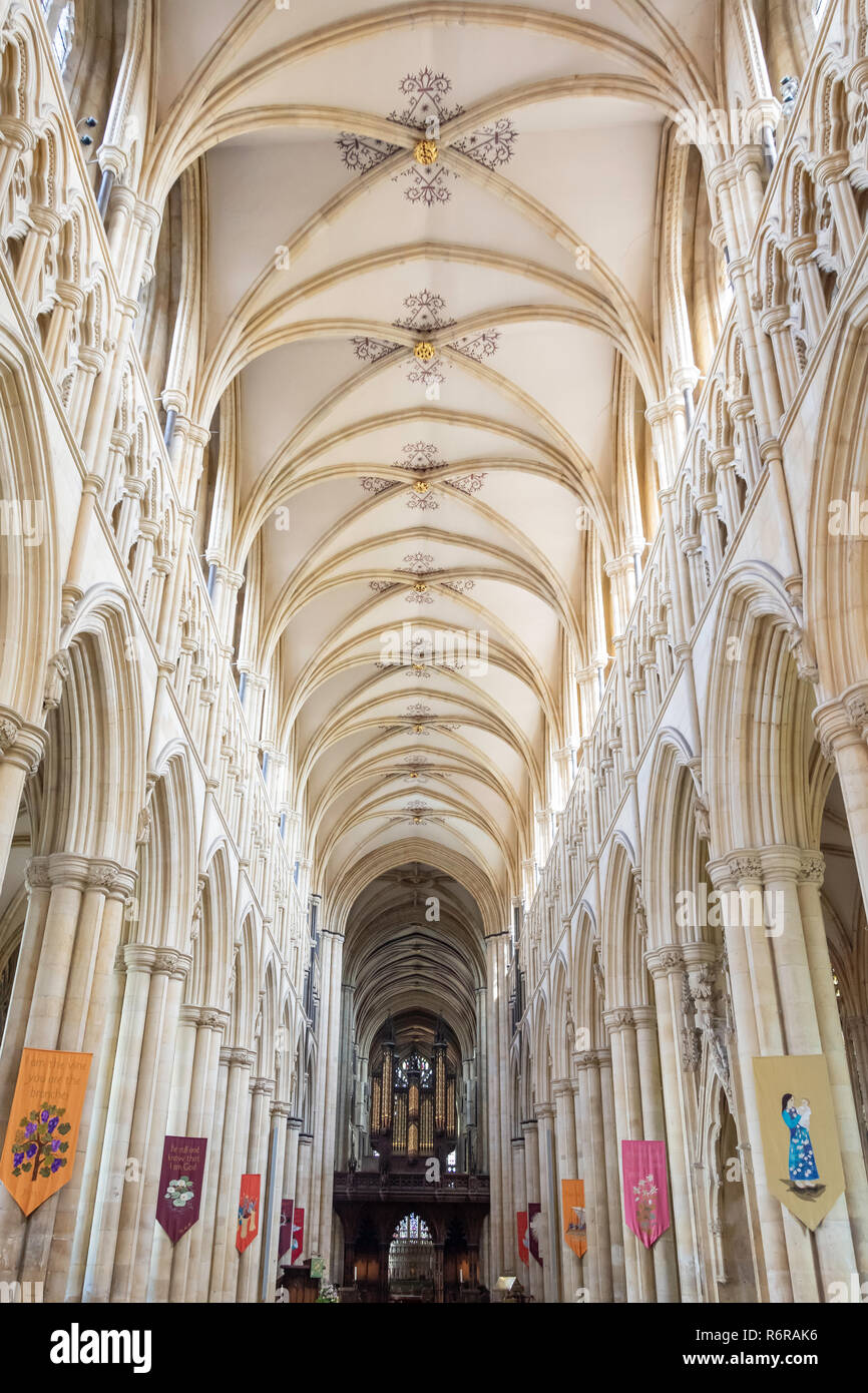 Nef de l'intérieur de Beverley Minster, Beverley, East Riding of Yorkshire, Angleterre, Royaume-Uni Banque D'Images