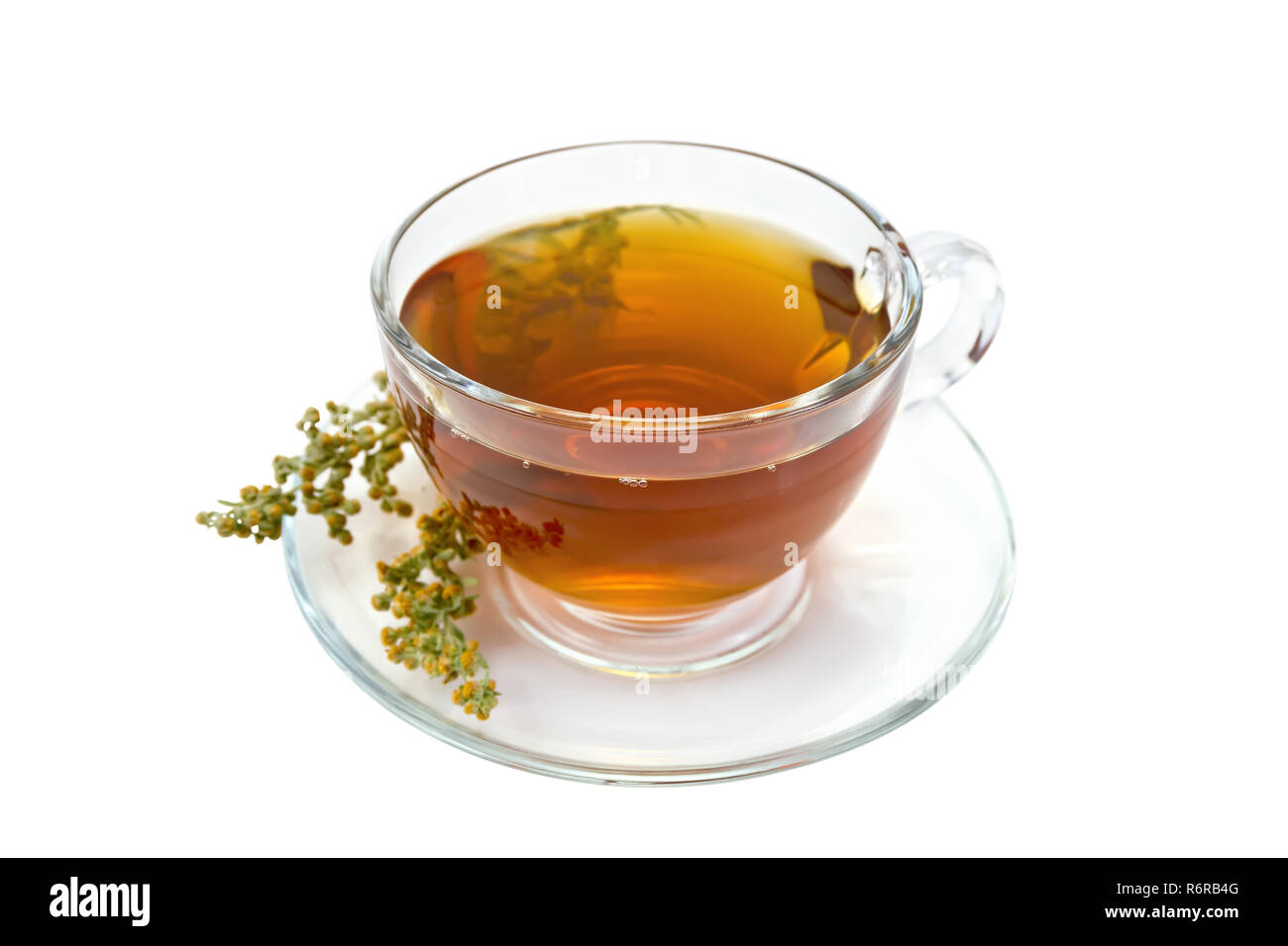 La tisane d'absinthe dans un verre tasse sur une soucoupe, branche d'armoise gris isolé sur fond blanc Banque D'Images