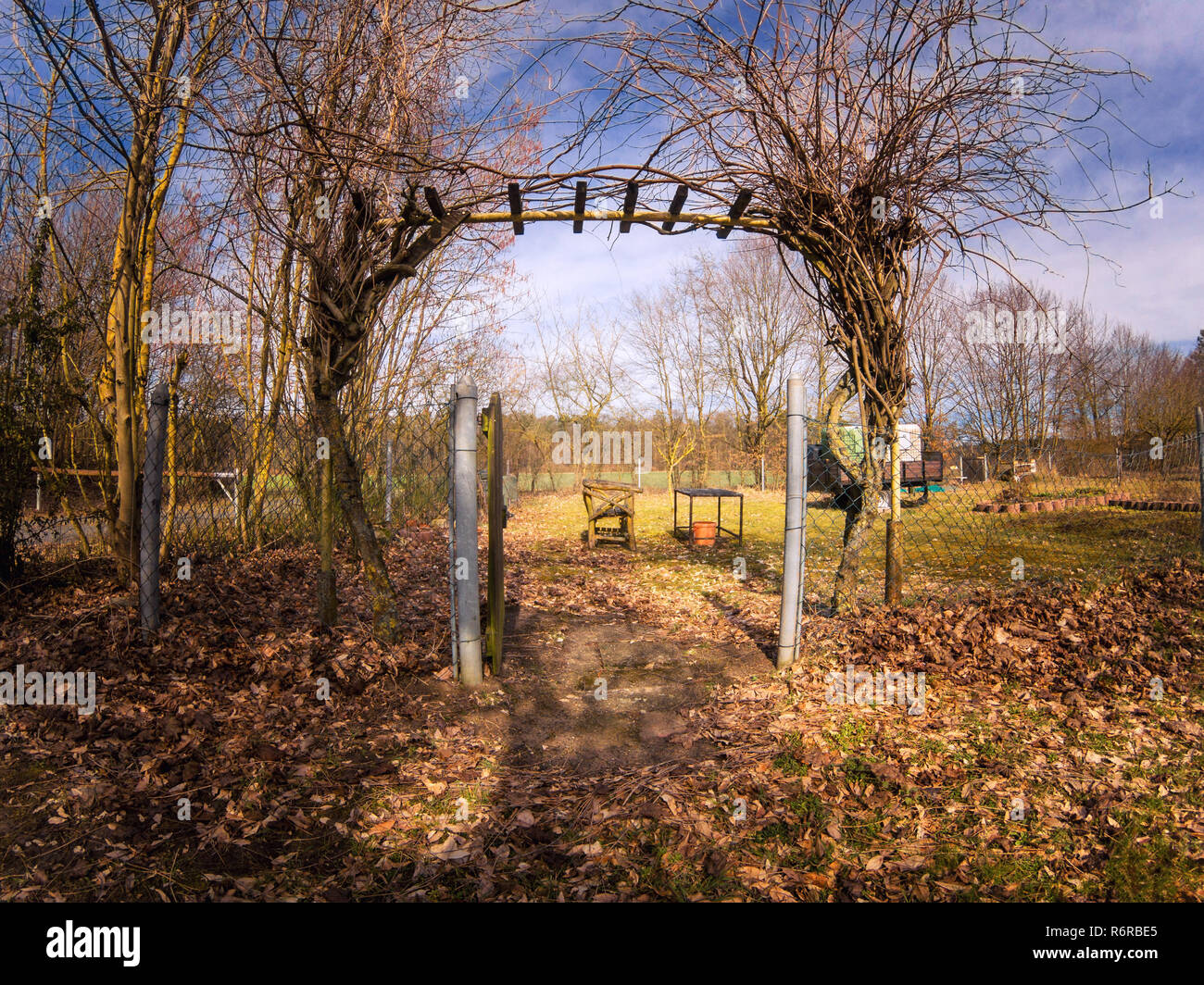 Jardin d'attribution avec chaise et table en bois Banque D'Images