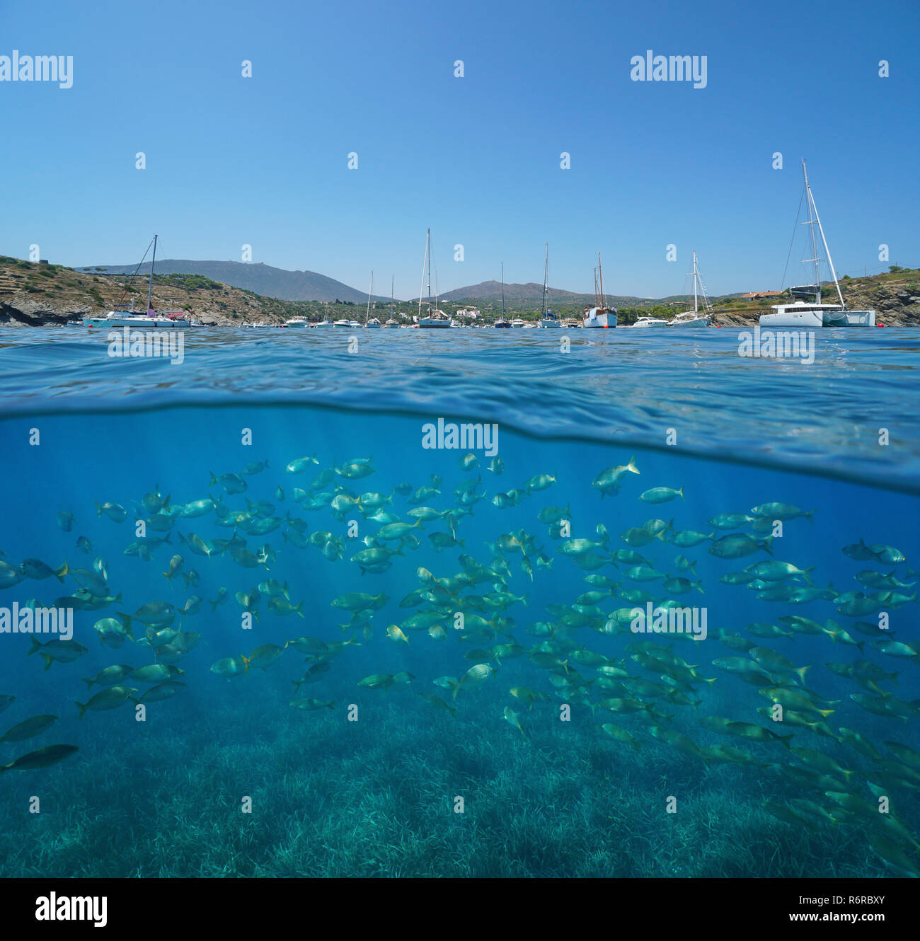 Côte de la mer méditerranée avec des bateaux amarrés et l'école de poissons sous l'eau, vue fractionnée de la moitié au-dessus et au-dessous de la surface de l'eau, Espagne, Cadaques, Costa Brava Banque D'Images